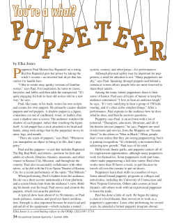 Puppeteer