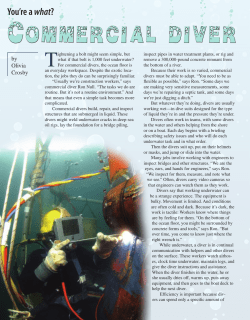Commercial diver