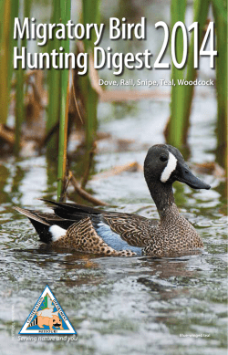 Teal season