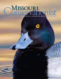 Download the current issue