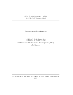 Notes by M. Belolipetsky