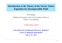 Navier Stokes equations PDF