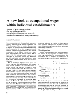 A new look at occupational wages within individual establishments