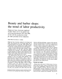 Beauty and barber shops: the trend of labor productivity