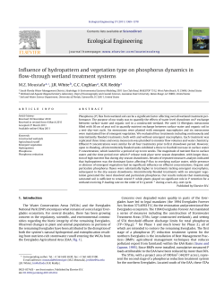 Influence of hydropattern and vegetation type on phosphorus dynamics in flow-through wetland treatment systems
