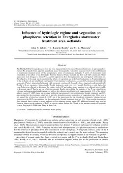 Influence of hydrologic regime and vegetation on phosphorus retention in Everglades stormwater treatment area wetlands