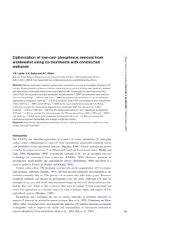 Optimization of low-cost phosphorus removal from wastewater using co-treatments with constructed wetlands