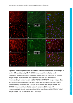 Supplementary information