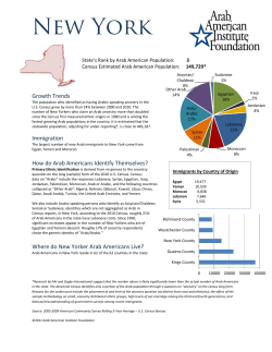 New York Arab American Demographic Sheet