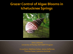 Presentation: Grazer Control of algae blooms in Ichetucknee Springs. At the Santa Fe Springs Basin Working Group meeting, January 12, 2012.