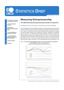 OECD Statistics Brief: Measuring Entrepreneurship