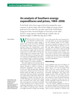 An analysis of Southern energy expenditures and prices, 1984&ndash;2006