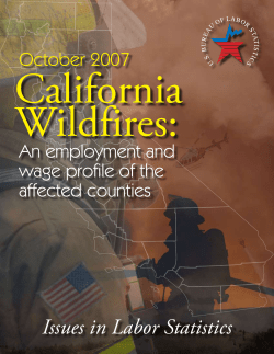 California Wildfires: An Employment And Wage Profile Of The Affected Counties (PDF)