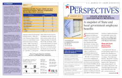 Program Perspectives On State And Local Government Benefits (PDF)