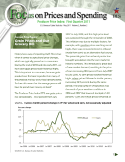 Grain Prices And Our Grocery Bill (PDF)
