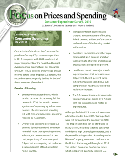 Consumer Spending In 2010 (PDF)
