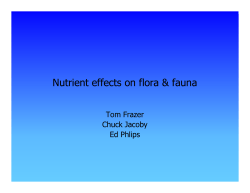 Nutrient Effects on Spring Flora and Fauna