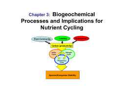 Biogeochemical Processes and Implications for Nutrient Cycling in Spring Systems
