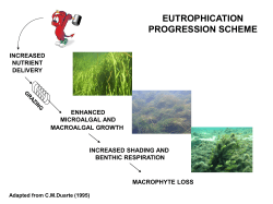 Plants, Algae, Animals