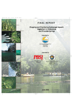 Mapping and Monitoring SAV in Ichetucknee and Manatee Springs 2003