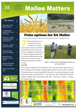 Download the Full Issue