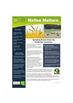 Download the Full Issue