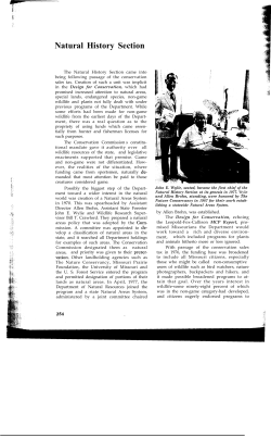 19. The First 50 Years: Natural History Section