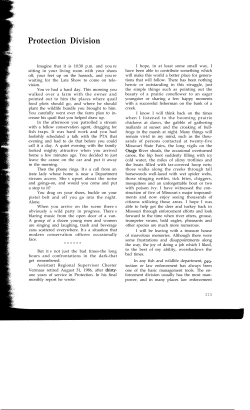 16. The First 50 Years: Protection Division