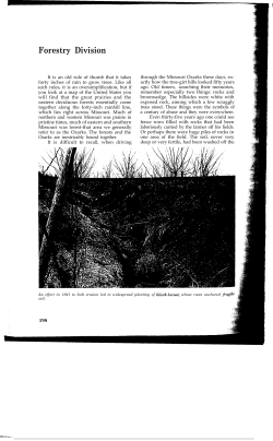 15. The First 50 Years: Forestry Division