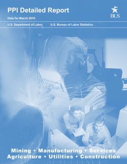 PPI Detailed Report March 2010