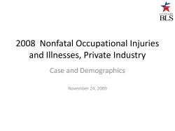 2008 Nonfatal Occupational Injuries and Illnesses, Private Industry - Case and Demographics