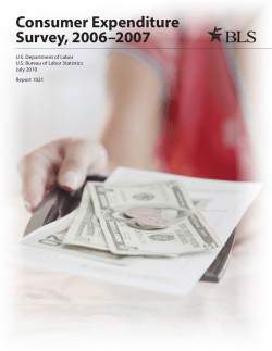 Consumer Expenditure Survey 2006 2007