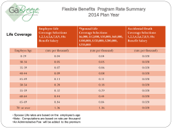 AE 2014 Flexible Benefits Rate Sheet