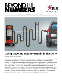 PDF version of Using gasoline data to explain inelasticity