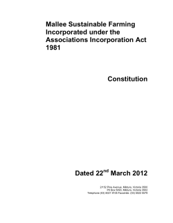 the constitution
