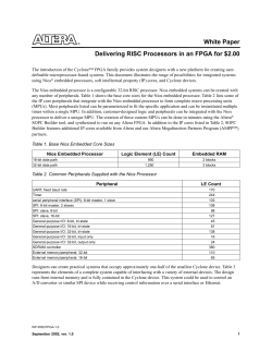 wp_risc.pdf