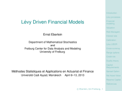 L&eacute;vy driven finance theory (equity, interest rate theory, credit, reserve capital)