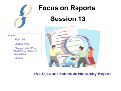 Session 13: LD_Labor Schedule Hierarchy Report