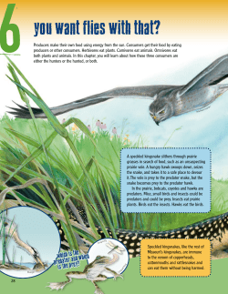 Grades 3-5 Student Book Chapter Six