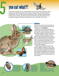 Grades 3-5 Student Book Chapter Five
