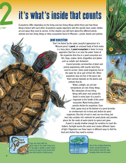 Grades 3-5 Student Book Chapter Two