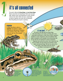 Grades 3-5 Student Book Chapter One