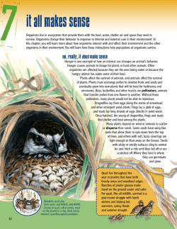 Grades 3-5 Student Book Chapter Seven