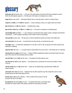 Grades 3-5 Student Book Glossary