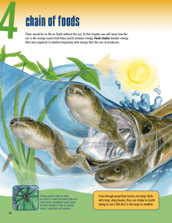 Grades 3-5 Student Book Chapter Four