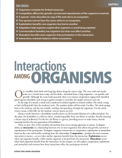 Grades 9-12 Student Book Chapter Four