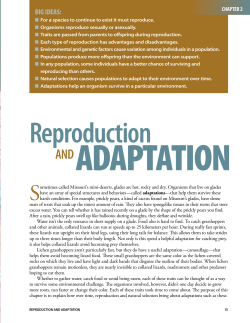 Grades 9-12 Student Book Chapter Two