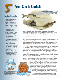 Grades 6-8 Student Book Chapter Five