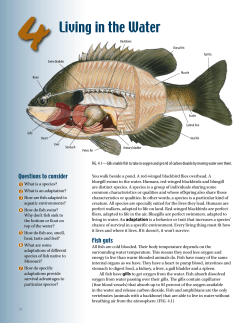 Grades 6-8 Student Book Chapter Four