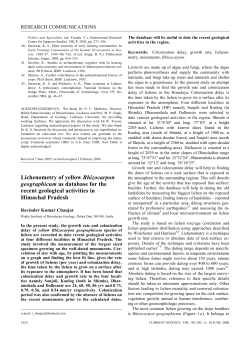 Use of Rhizocarpon in lichenometry
